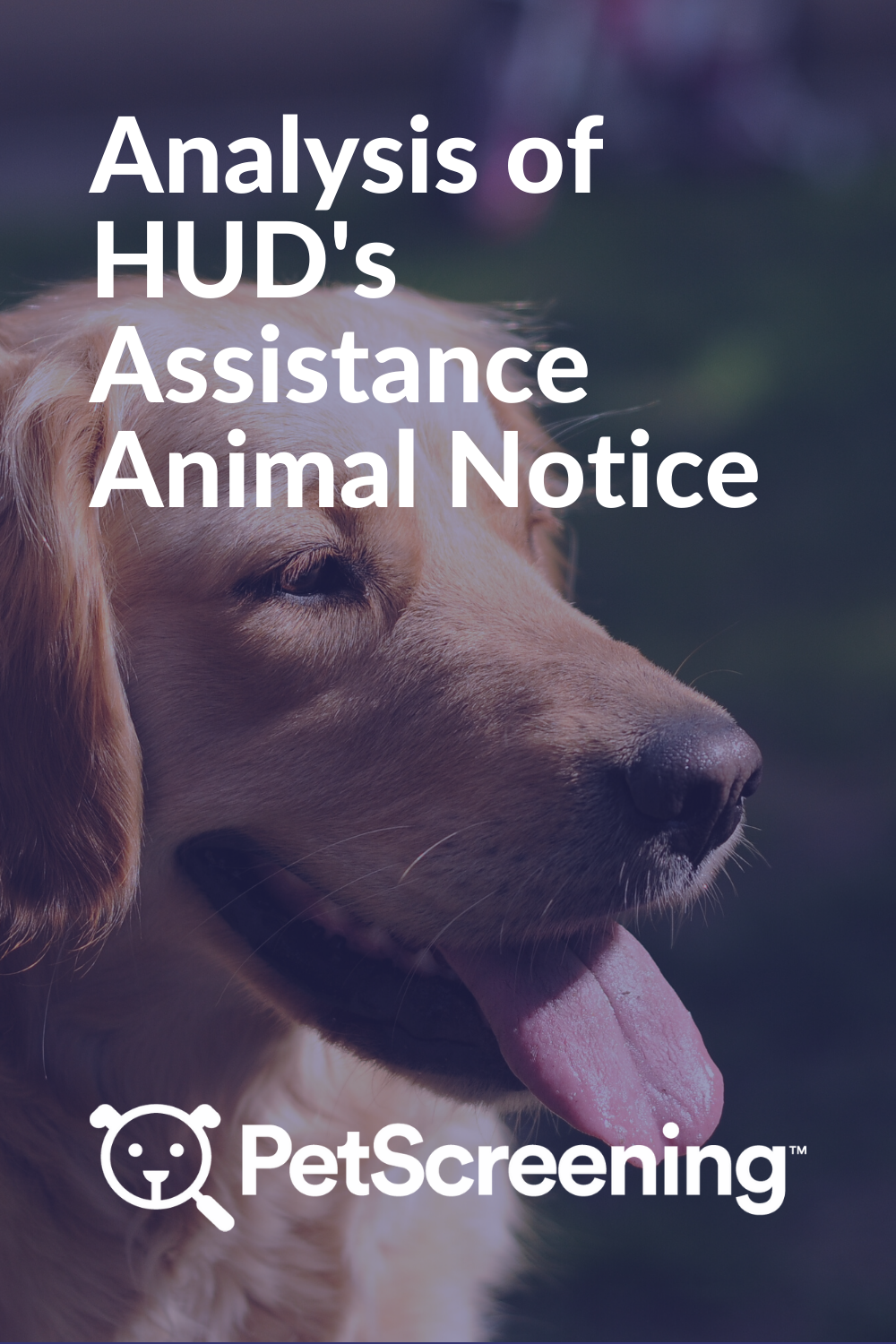 petscreening-s-analysis-of-hud-s-new-assistance-animal-notice